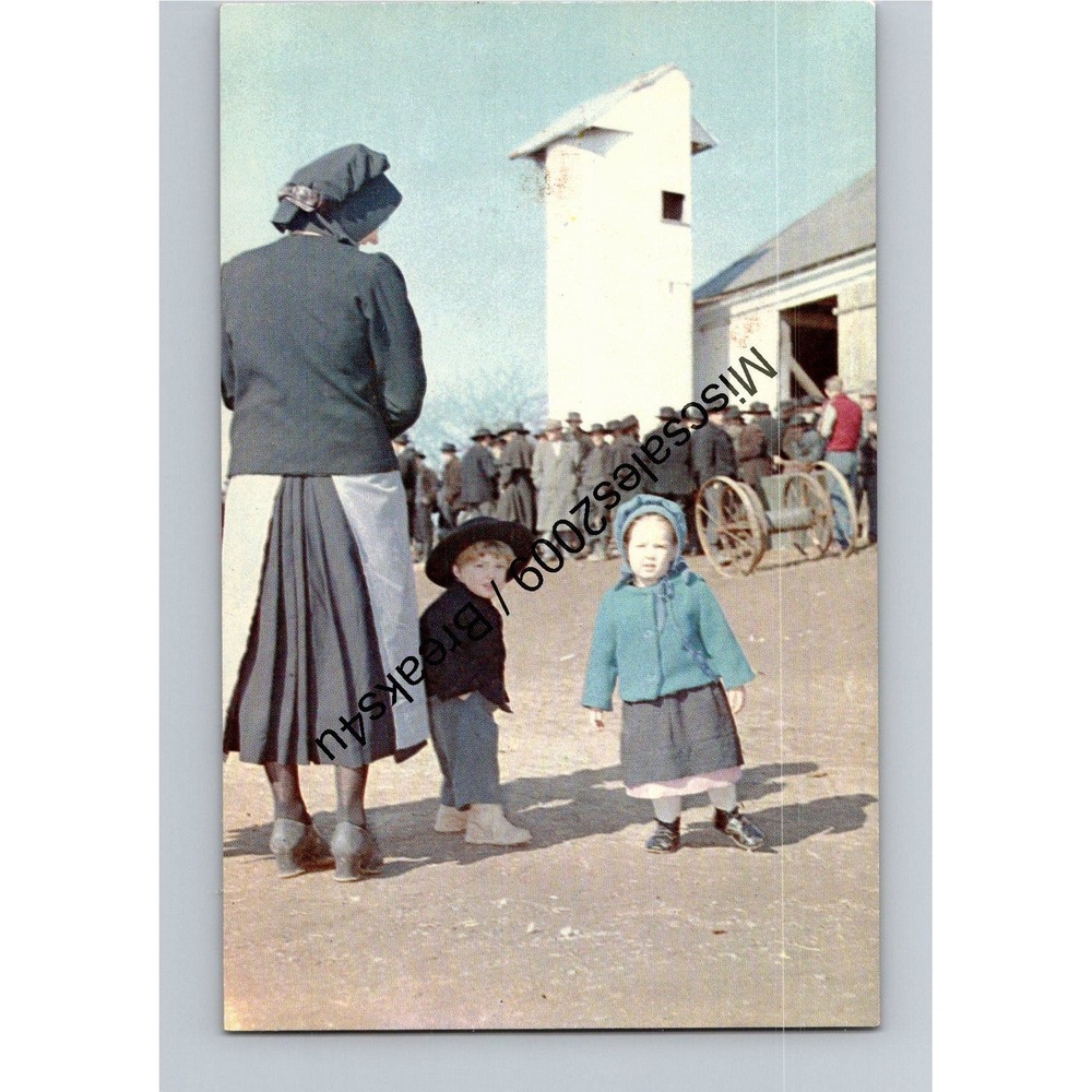 Unused Vintage Postcard Amish People at Public Farm Sale Lancaster PA Multicolor